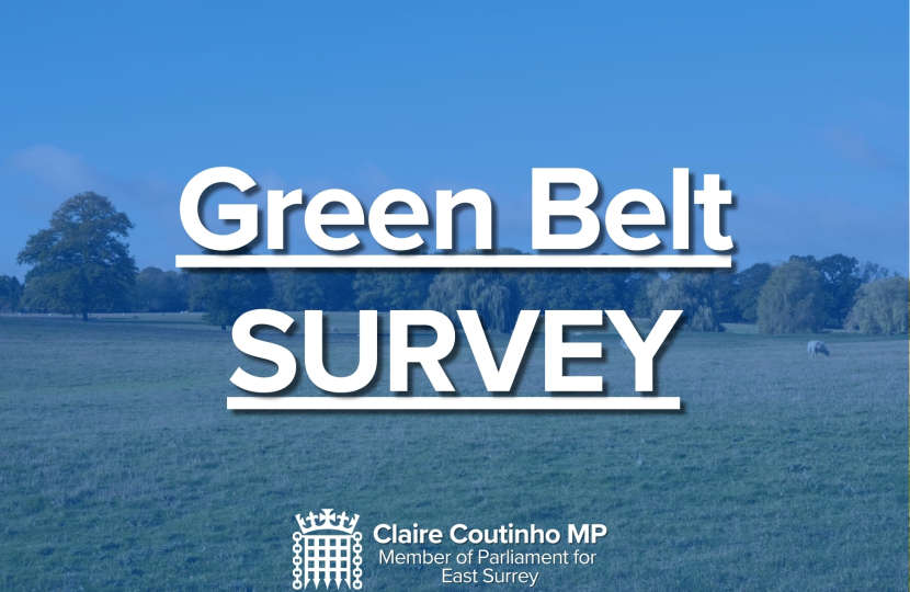 Green Belt Survey