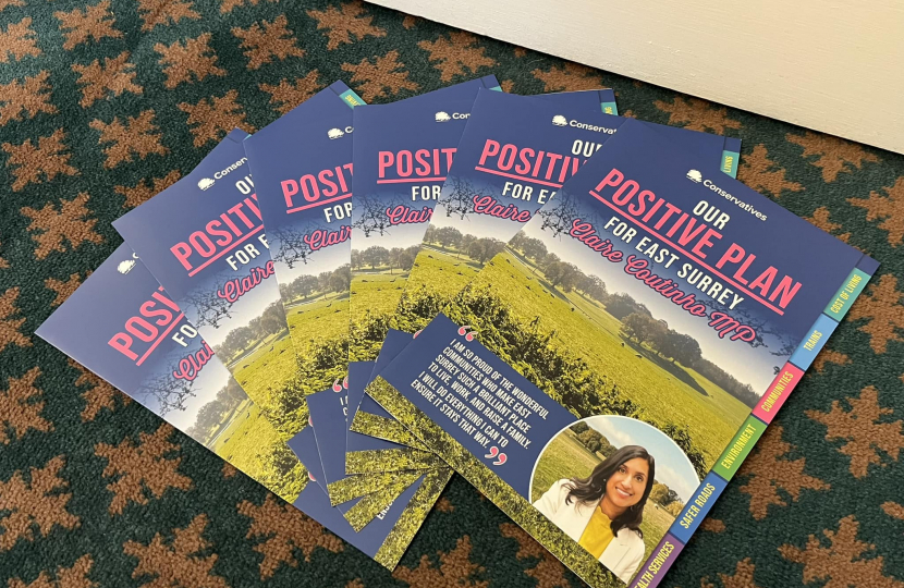 Positive Plan leaflets