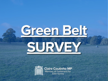 Green Belt Survey