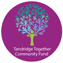 Tandridge together community fund logo