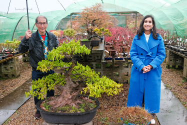 Claire is standing with Peter Chan, next to a large bonsai tree.