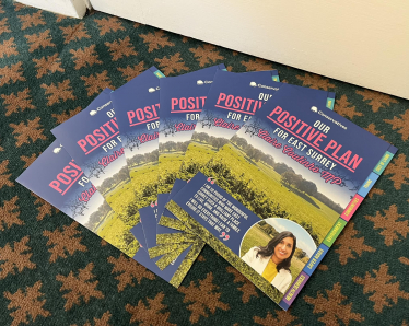 Positive Plan leaflets